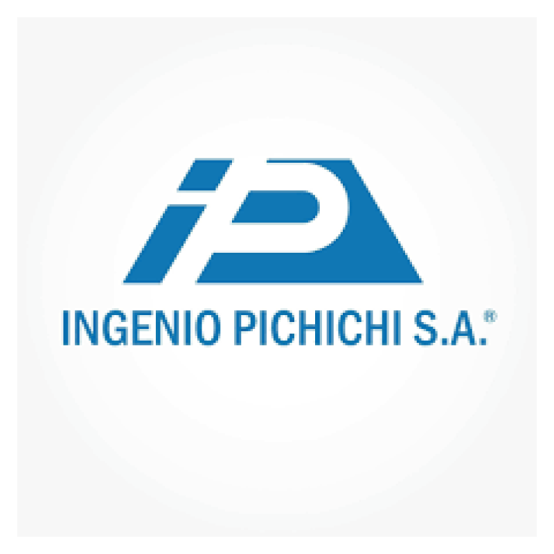 logo-ingenio-pichichi-nuestros-clientes-evolucion-aprendizaje-divertido